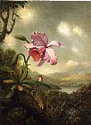 Martin Johnson Heade Hummingbird and Orchid, Sun Breaking Through the Clouds painting